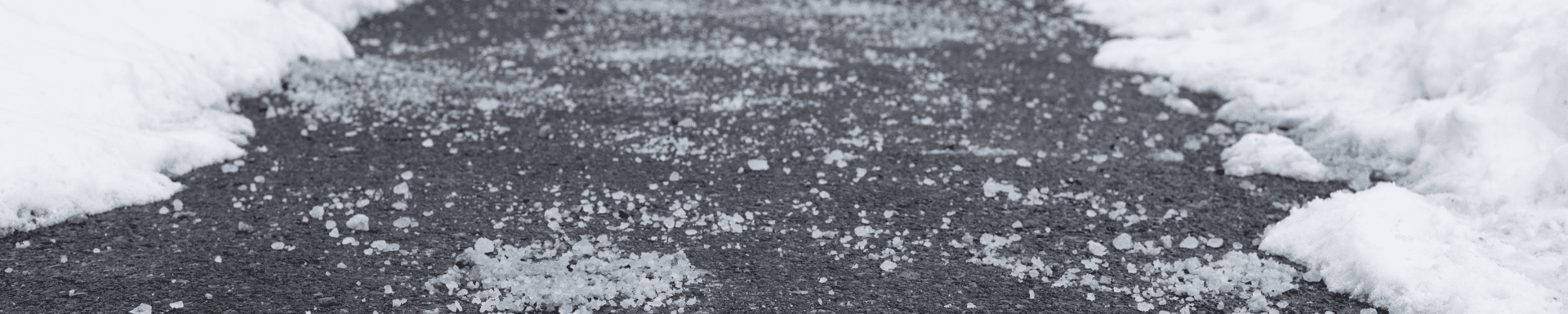 MIP-Website---Headerfotos-5