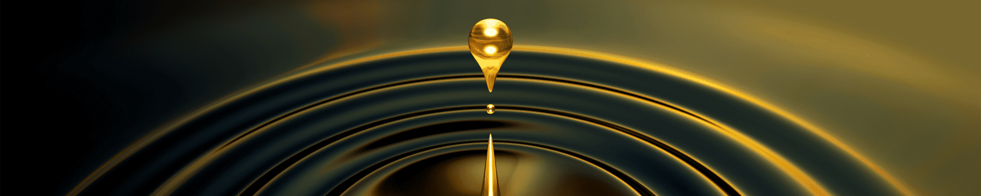 MIP-Website---Headerfotos-11
